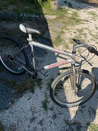 Bicicletta Mountain Bike