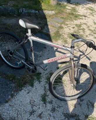 Bicicletta Mountain Bike
