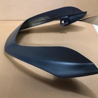 Unghia biposto Ducati Monster