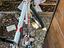 Immagine 4