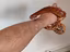 Immagine 5