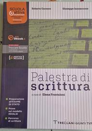Palestra di scrittura