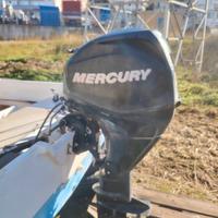 Motore Mercury 25 EFI iniezione fuoribordo