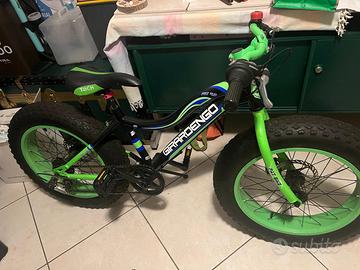 Fat Bike da bambino
