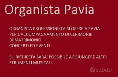 Organista Vigevano