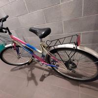 Bicicletta da bambina Adige