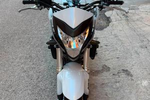 Honda hornet