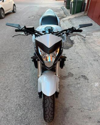 Honda hornet
