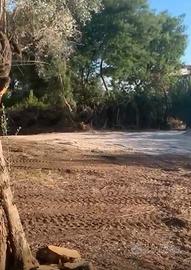 Nuovo Terreno 1000 mq