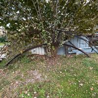 Tondini in ferro nervato