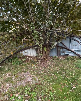 Tondini in ferro nervato