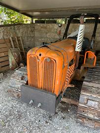 Trattore fiat 551 montagna