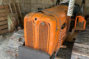Trattore fiat 551 montagna