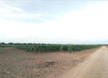Terreno agricolo Pulsano, agro di Taranto