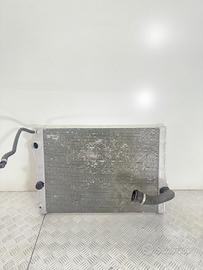 Radiatore Raffreddamento Motore BMW X5 X6 17117807