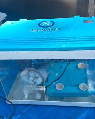 Acquario SSC Napoli