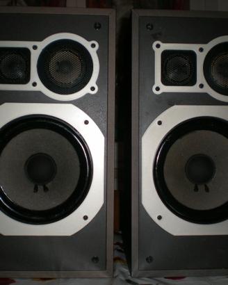 DIFFUSORI CASSE SCHNEIDER 6031 LS COLINAL