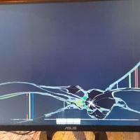 ASUS Monitor TUF 27 pollici Full HD display rotto