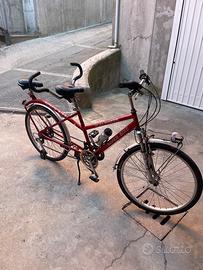 Bibici