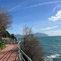 Badane italiano referenziato per anziani a Nervi