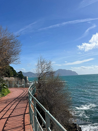 Badane italiano referenziato per anziani a Nervi