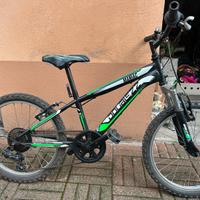 Bici bimbo 5/9 anni