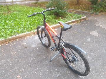 Bicicletta Uomo 