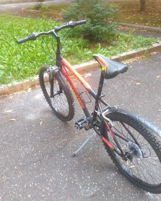 Bicicletta Uomo 