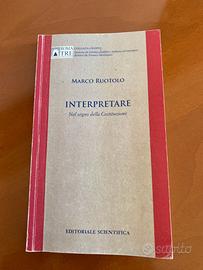 9788863426434 INTERPRETARE NEL SEGNO DELLA COSTITU