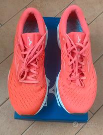 Micino Wave Rider 24 