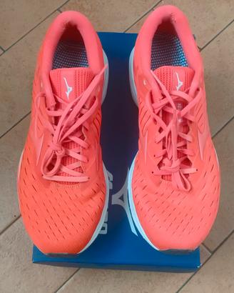 Micino Wave Rider 24 