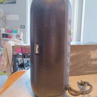 cassa portatile Bluetooth