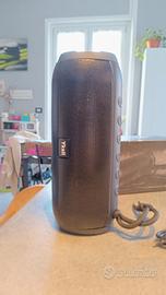 cassa portatile Bluetooth