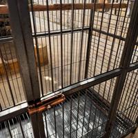 Gabbia per pappagalli 