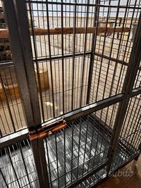 Gabbia per pappagalli 