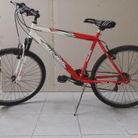 bici Mountain bike 