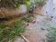 Immagine 29