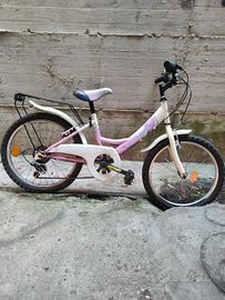 bicicletta ruota 20