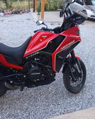 moto Morini x cape 650