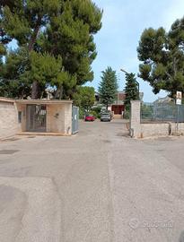 Bari Via Fanelli- Borgobello- 80 mq più 55 patio
