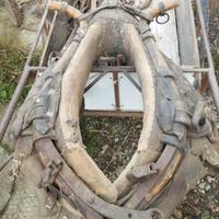 collana per cavalli da tiro