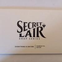 Everything is on fire Rainbow Foil Edition - MTG