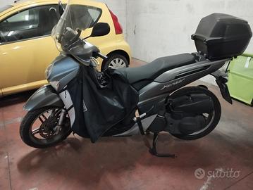 scooterista 