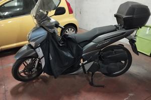 scooterista 