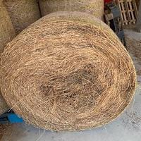 Rotoballe di Fieno biologico