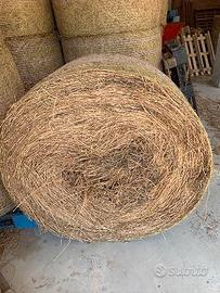 Rotoballe di Fieno biologico