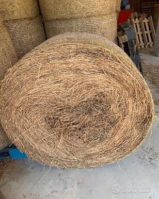 Rotoballe di Fieno biologico