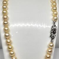 Collana di perle naturali coltivate “Akoya” 664/24