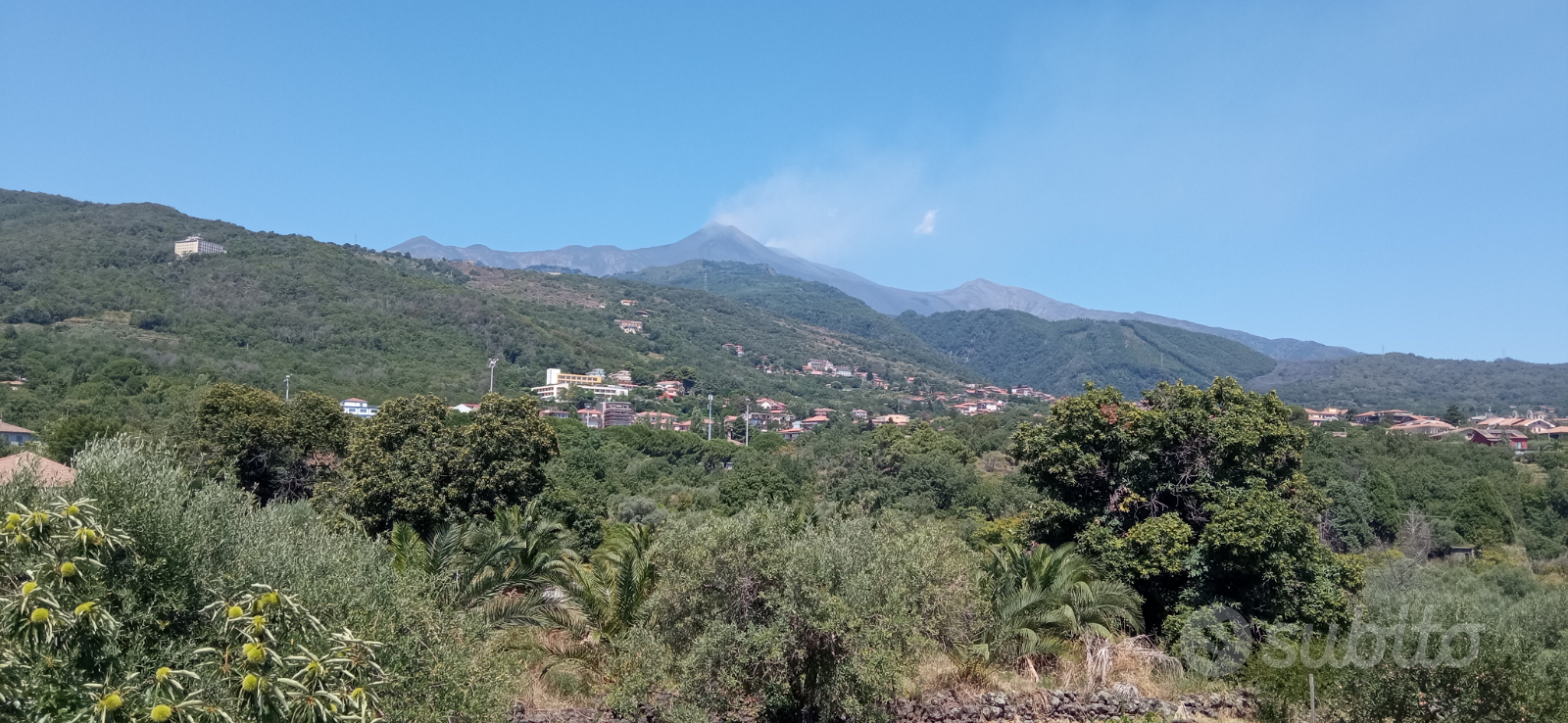 Terreno agricolo - Vista 2