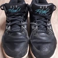 Nike air flight